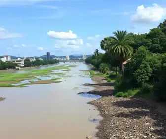 despoluição do Rio Tietê